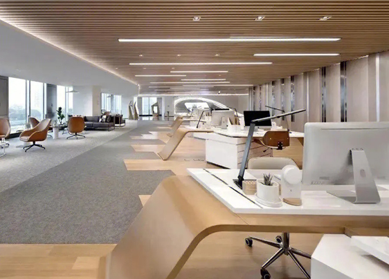  哈尔滨91视频免费观看网站