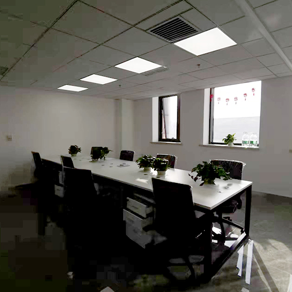 91视频最新网址