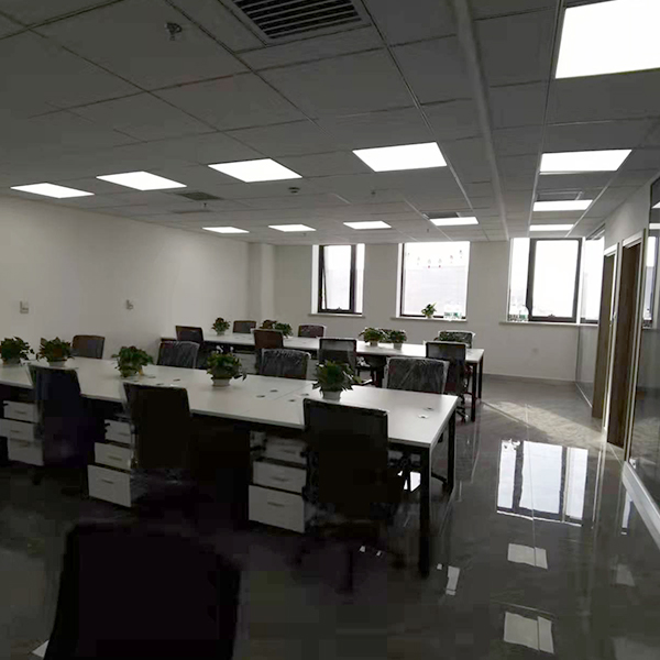 91视频最新网址